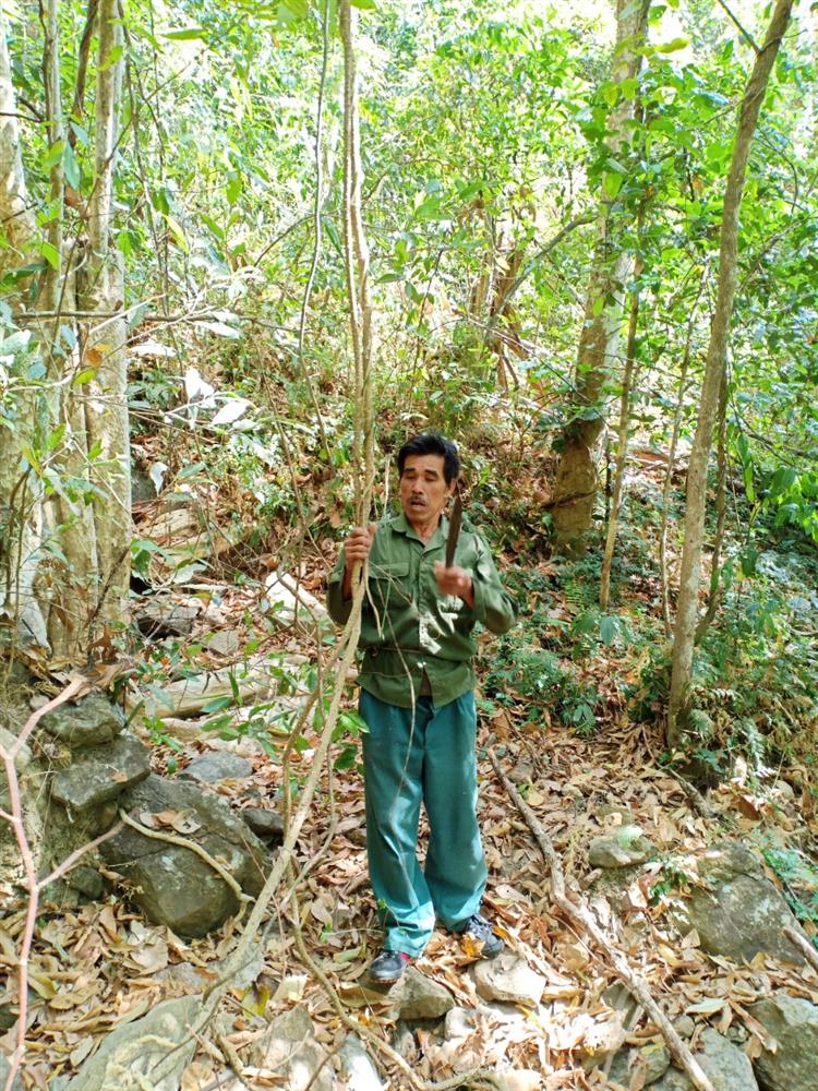 Lương y Phạm Văn Nhường với những bài thuốc đặc trị rắn độc cắn, vôi gai cột sống, xương khớp